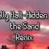 Tally Hall Hidden In The Sand Remix