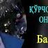 Tилло олдинг севган қўрчоқчангга Нима олдинг онангга Баходир Султонов