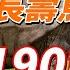 世上最長壽烏龜 歡度190歲生日