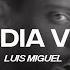 Luis Miguel La Media Vuelta Lyric Video CantoYo