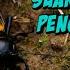 Suara Jangkrik Pengusir Tikus Rat Repellent Cricket Sound