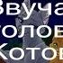 Какие песни звучат в головах котов воителей 1