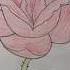 Rose Kaise Banaen Rose Drawing Drawing Art Ytshort