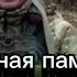 Вечная память героям России погибшим в ходе СВО