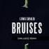 Lewis Capaldi Bruises Dan Judge Remix