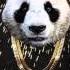 Desiigner Panda Explicit