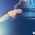 Yngwie Malmsteen While My Guitar Gently Weeps Blue Lightning 2019