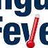 Dengue Fever Stages Causes Risk Factors Symptoms Complications Diagnosis Treatments