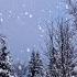 Winter Wonderland 10 Hour Relaxing Instrumental Music With Snow Covered Landscape