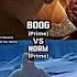 Boog Vs Every Bear