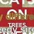 Cats On Trees Sirens Call Lyrics Audio HQ