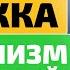 СЕМЕНА ЗДОРОВЬЯ Врачи в ШОКЕ всего одна ложка СЕМЯН УКРОПА заменит 1000 лекарств