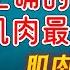 科学依据的最强训练法 肌肉增长的终极秘籍 20分钟讲解 正确的科学训练肌肉最强教科书