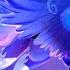 MLP FIM Princess Luna Tribute 13 Middle Of The Night