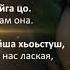 Ася Халидова Сан кхоллам бу хьо Чеченский и Русский текст