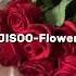 JISOO Flower Speed Up