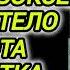 Аудиокнига ПОДАНЦЫ В ПРОШЛОЕ ЧЕМПИОН БОКСЕР ПОПАЛ В ТЕЛО ЗАДРОТА ПОДРОСТКА КНИГА 2