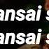 Jador Aseară Dansai Singura Versuri Pe Ecran Si Versuri în Descriere