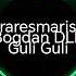 Raresmaris Bogdan DLP Guli Guli Cu Bass Boosted