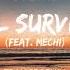 Sybrid I Ll Survive Feat Mechi Trance Remix