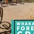 A Beginner Mountain Biker S Guide To The Whakarewarewa Forest Loop Rotorua Grade 2 Easy