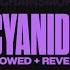 CYANIDE Slowed Reverb The Chainsmokers Best Quality On YouTube Lossless Audio