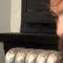 Edward Sharpe And The Magnetic Zeros Interview 2013 Alex Ebert On New Album Here Band Evolution