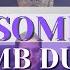 SOMI DUMB DUMB M V REACTION Why He Didn T See It