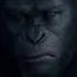 War Movie Of Monkeys And Humans Maymunlar Ve Insanların Savaş Filmi