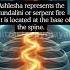 Ashlesha Nakshatra In Vedic Astrology