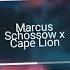 Marcus Schossow X Cape Lion Red Lights HQ Audio