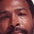 Marvin Gaye Symphony SalaAM ReMi Mix