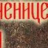 Акафист великомученице Анастасии Узорешительнице Очень красивое православное пение