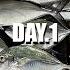 Singapore S Southern Seas Light Game With Lure Me In Day 1