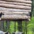 Building Of A Flying Shelter Great Way To Hide From A Wild Boar