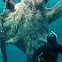 The 9 Largest Octopus Species In The World