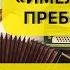 Шуйская гармонь Имел я деньги пребольшие Шикарное исполнение от Александра Якушова