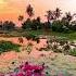 Sunrise In The Backwaters Of Kerala India Восход солнца в заводях Кералы Индия