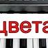 KORG Pa Стиль А лето цвета Юрий Шатунов караоке текст аккорды Demo Korg Style