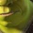 Shrek Shrek Misses Fiona Fandango Family