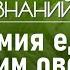 Как не потерять витамины при обработке продуктов Лекция химика Валентина Новикова