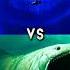 El Gran Maja Vs The Bloop Karken Giant Moray Eel Hippocampus Shorts Viral Monster Music The