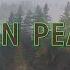 Twin Peaks Ambient Soundscape