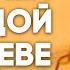 МАТКА МУРАВЬЯ ОТЛОЖИЛА ПЕРВЫЕ ЯЙЦА ЧТО ДЕЛАТЬ ДАЛЬШЕ Как поднять колонию муравьёв Димон и пумба