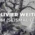 Olivier Weiter Diversum Seismal D Remix Official Teaser Steyoyoke