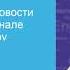 Новости Покетолк Тимур Кибиров Не оплатили Ангелина Ридер Ирина Рябцова Переводчик с арабского