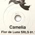 Camelia Flor De Luna SRLS01 1