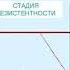 Активационная терапия Стадии стресса по Гансу Селье Эустресс и дистресс