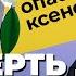 КСЕНОНОТЕРАПИЯ ЛЕГАЛЬНЫЙ НАРКОТИК ДЛЯ БОГАТЫХ Чем опасны ингаляции ксеноном Смертельная эйфория