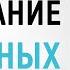 Как правильно голодать 5 главных правил лечебного голодания